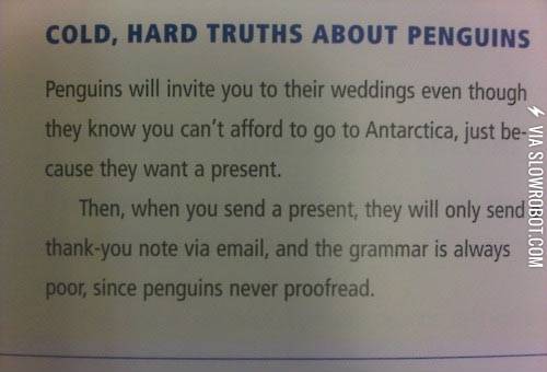 Scumbag+penguins.