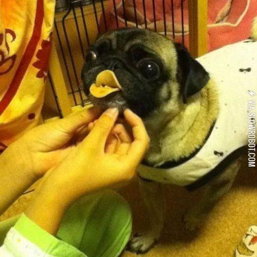 Duck+lips.