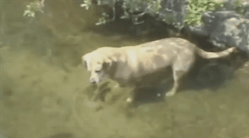 Patience+is+a+virtue