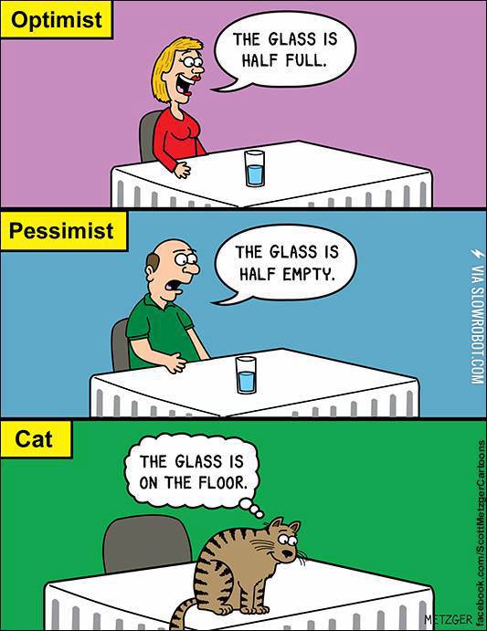 An+optimist+vs.+a+pessimist+vs.+a+cat.