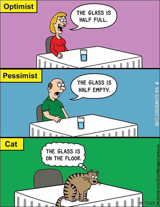 An+optimist+vs.+a+pessimist+vs.+a+cat.