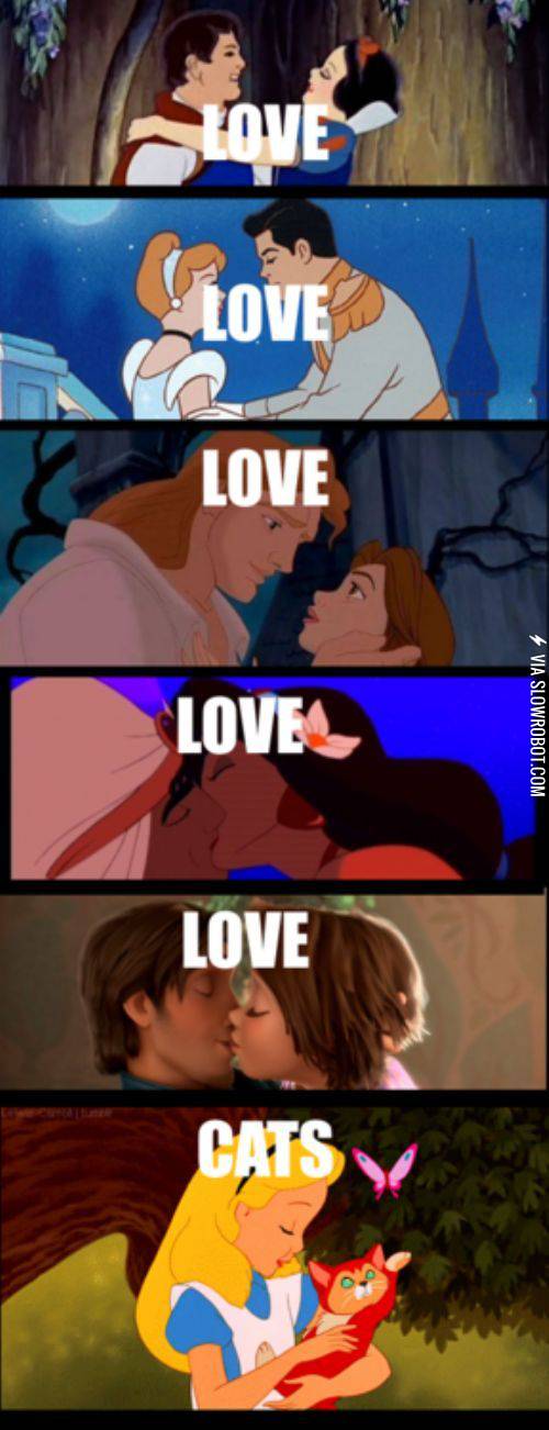 Love%26%238230%3B+and+cats.