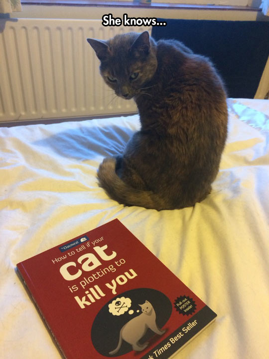 Oh+No%2C+She%26%238217%3Bs+Onto+Me