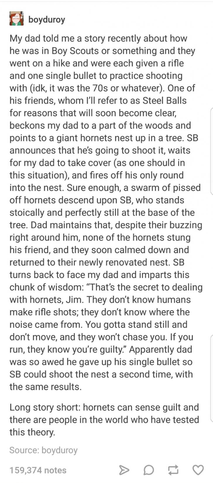 Just+wait+til+wasps+learn+the+humans+have+rifles%21