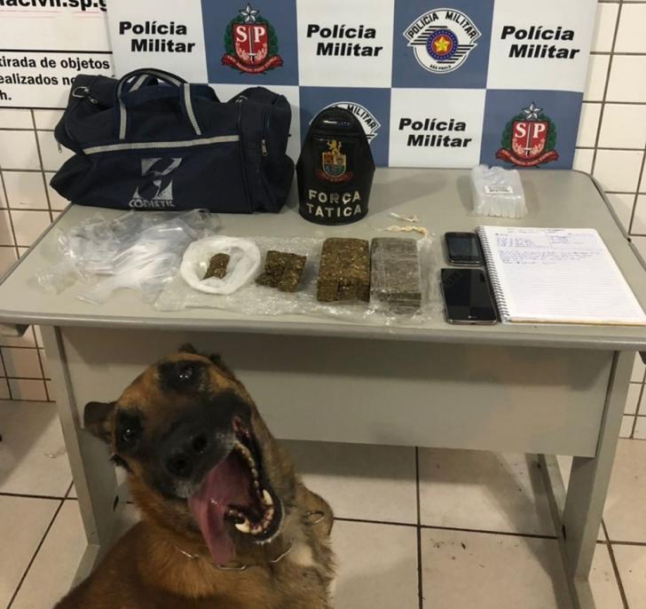 Police+dog+smiles+after+a+drug+bust