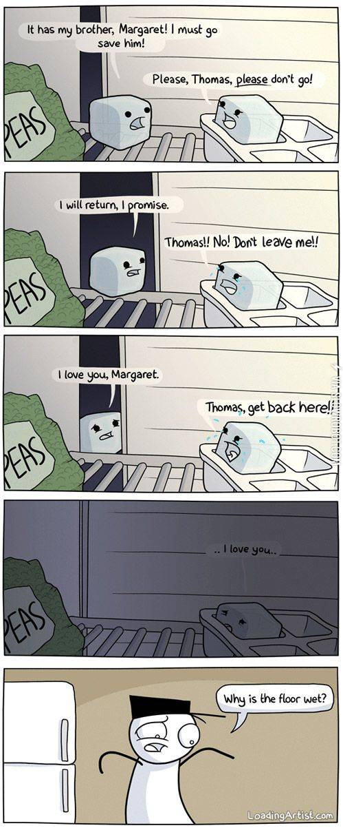 Why+is+the+floor+wet%3F