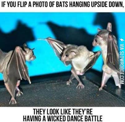 Gravity+is+our+friend+and+I+want+one.