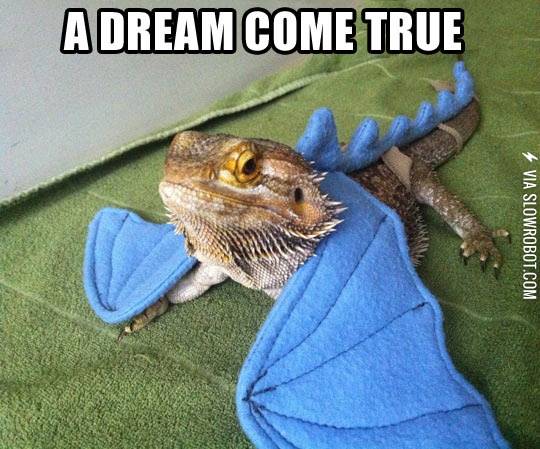 Finally%2C+I+am+a+dragon.