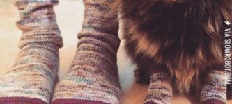 Kitty+tube+socks