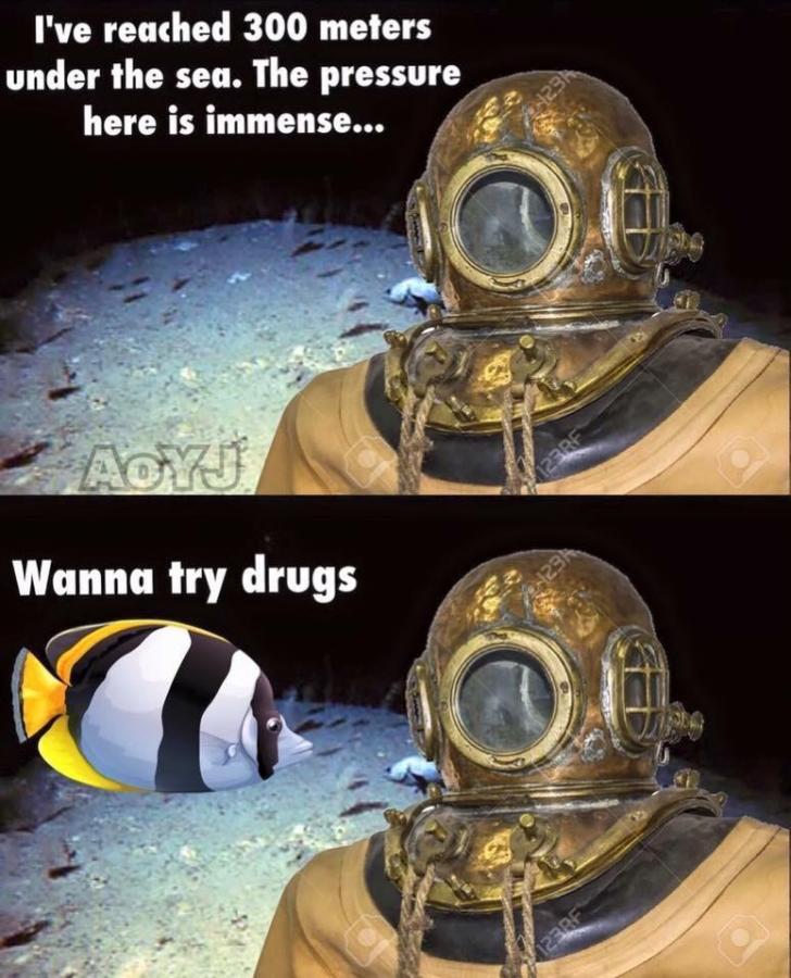 Don%26%238217%3Bt+give+in%21