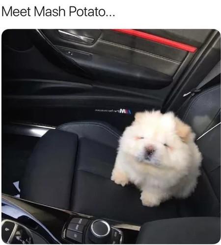 Meet+Mash+Potato%26%238230%3B