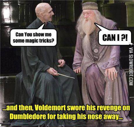 The+reason+Voldemort+has+no+nose.