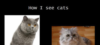 How+I+See+dogs+vs.+cats