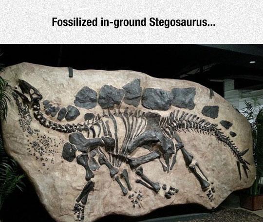 Dinosaurs+are+stoned.