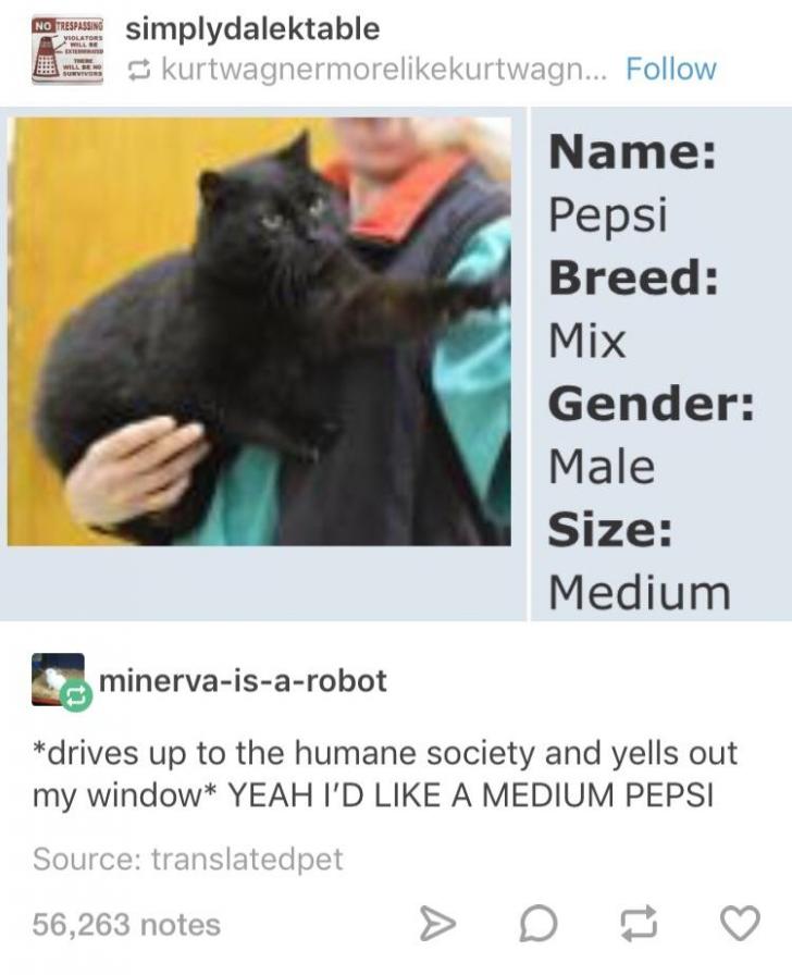 Any+size+Pepsi+would+do+actually.