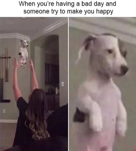 When+You%26%238217%3Bre+Having+A+Bad+Day+And+Someone+Trying+To+Make+You+Happy