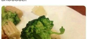 Screw+you+broccoli