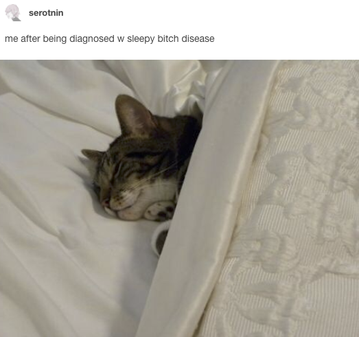 sleepi+disease