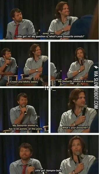 Exhibit+9287%3A+Proving+Jared+and+Misha+are+awesome%21