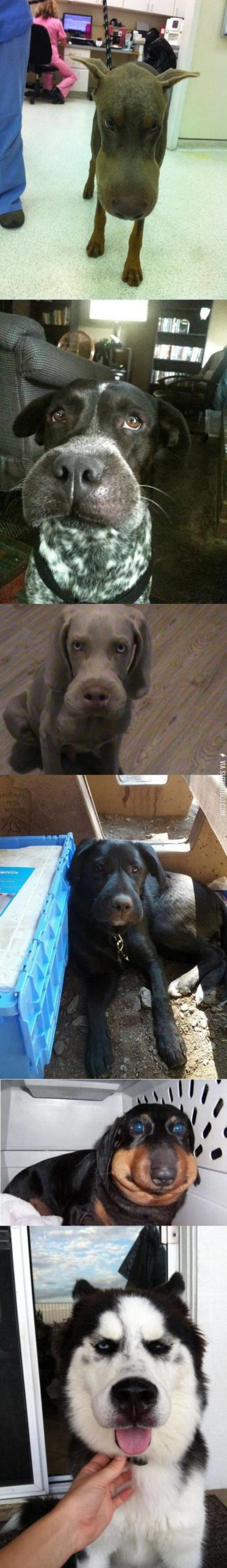 Don%26%238217%3Bt+eat+bees.