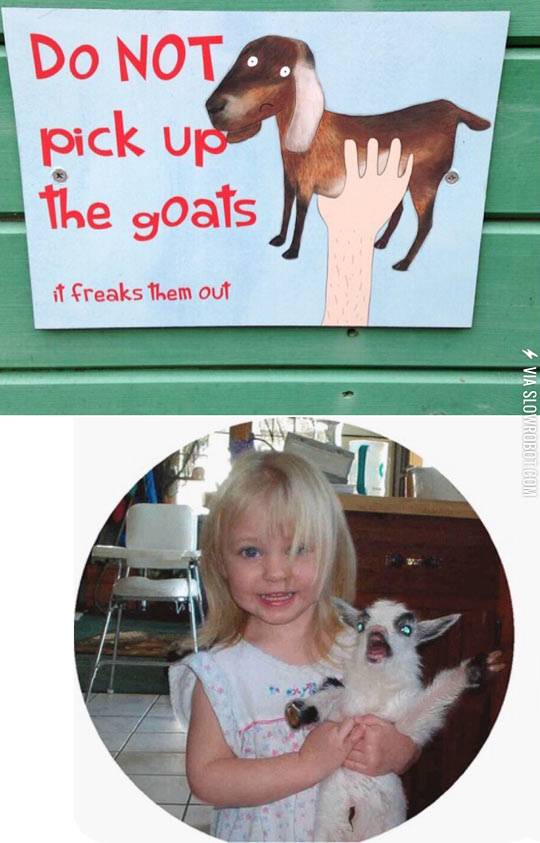 Do+not+pick+up+the+goats