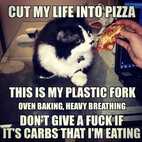 I+can%26%23039%3Bt+help+but+sing+this