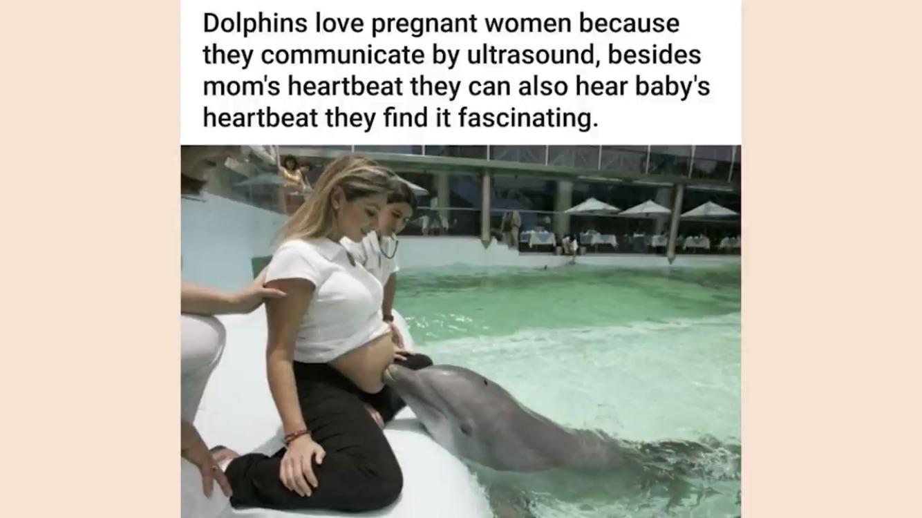 So+long+and+thanks+for+all+the+babies%26%238230%3B