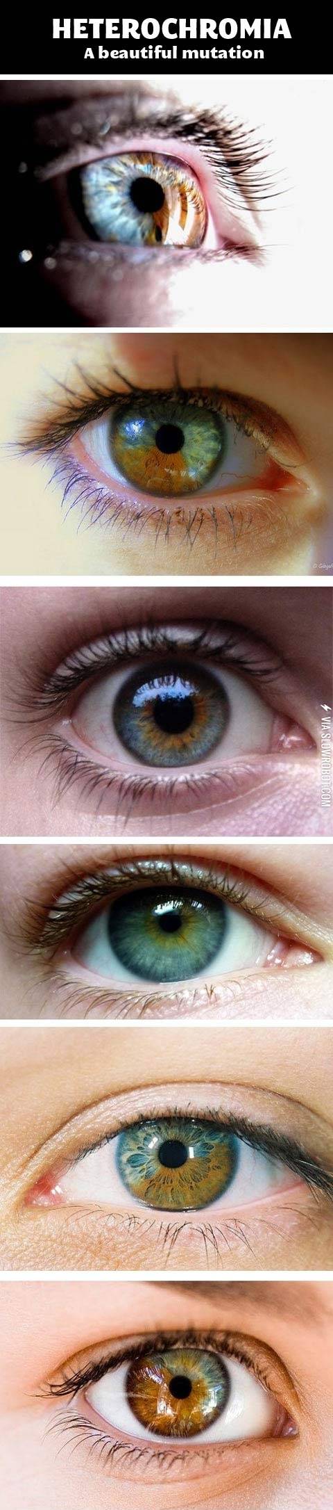 A+beautiful+mutation