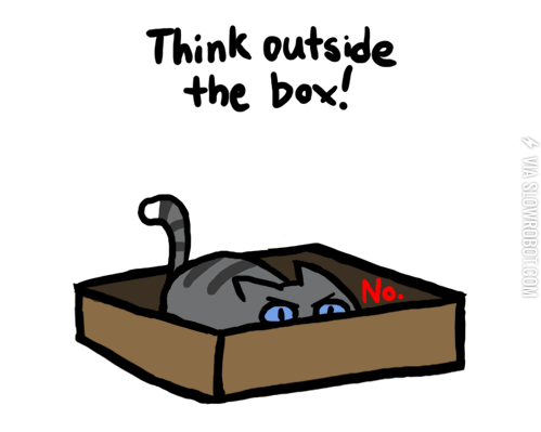 A+cat%26%238217%3Bs+life.