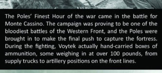 The+Incredible+Story+Of+Voytek+The+Soldier+Bear