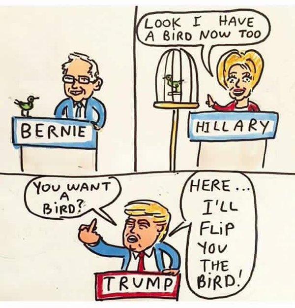 The+bird+and+the+3+candidates