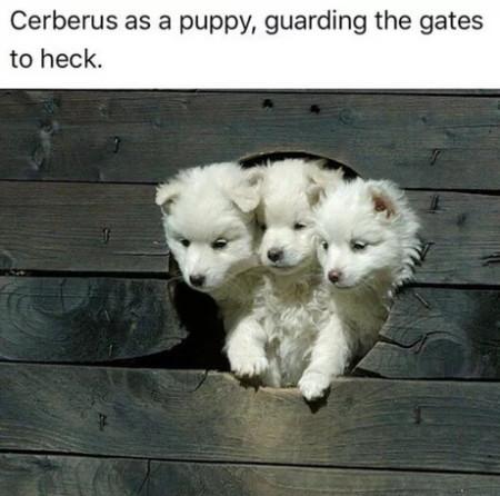 Cerberus+As+A+Puppy%2C+Guarding+The+Gates+To+Heck