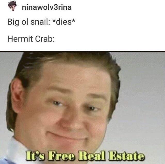 Free+Real+Estate