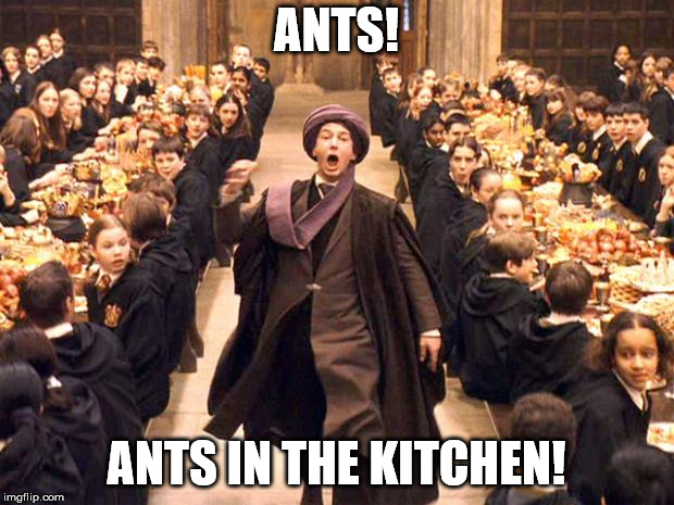 Its+that+time+of+year