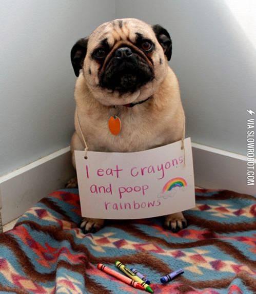 His+attempt+at+becoming+a+unicorn.