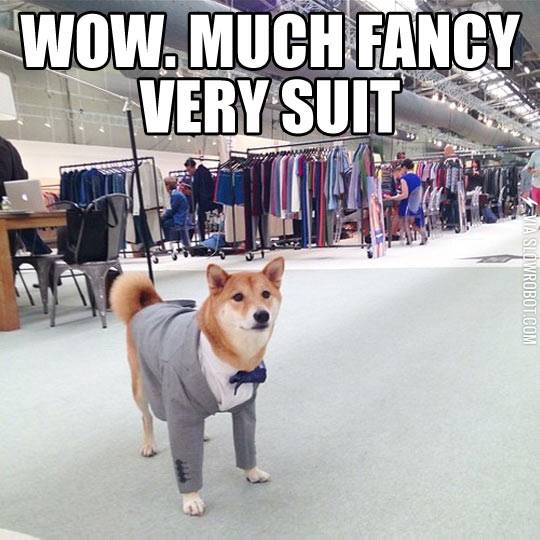 Much+fancy.