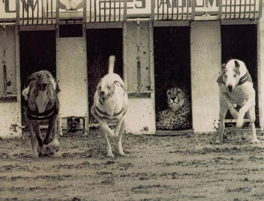 When+You+Have+Nothing+To+Prove