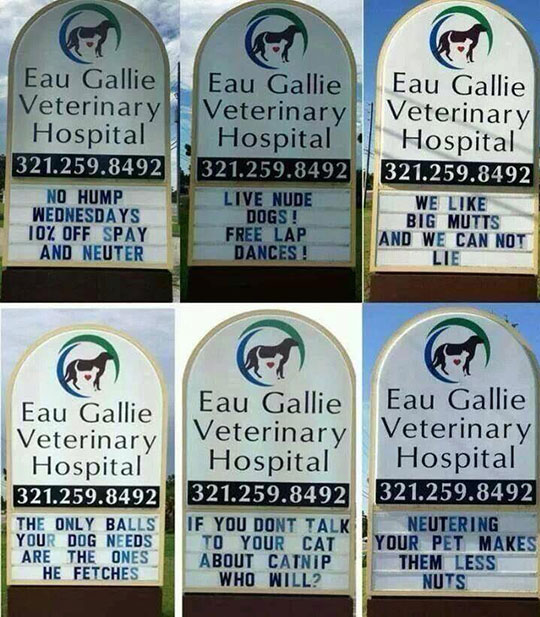 Clever+Vet