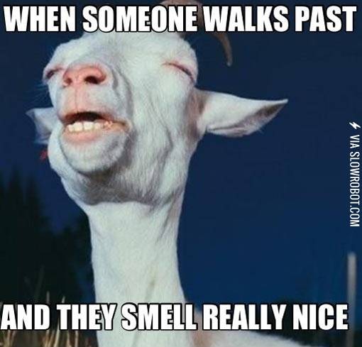 When+someone+walks+by+and+they+smell+really+nice.