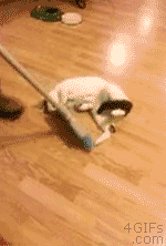 Shuffle+board+kitty.