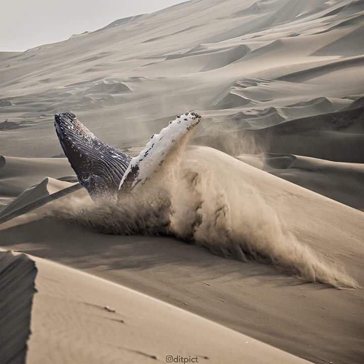 Wait+just+a+minute%26%238230%3B