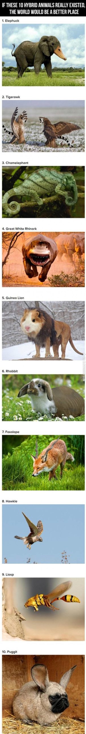 Animal+hybrids.