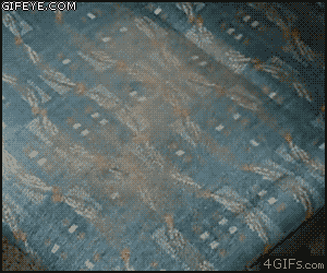 Your+average+bus+seat.