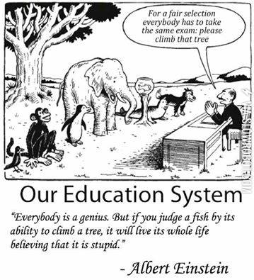 Our+Education+system