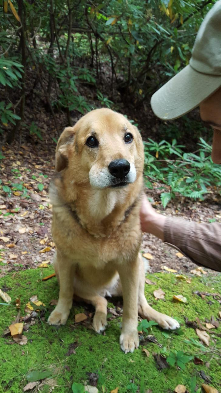 G+O+O+D+G+I+R+L+E+ated+a+bumble