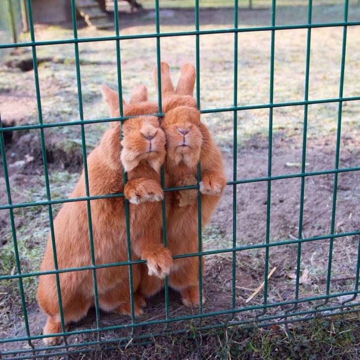 Found+these+two+at+the+farm+today