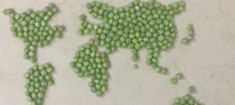 Finally+achieved+world+peas