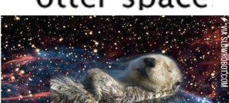Otter+space.
