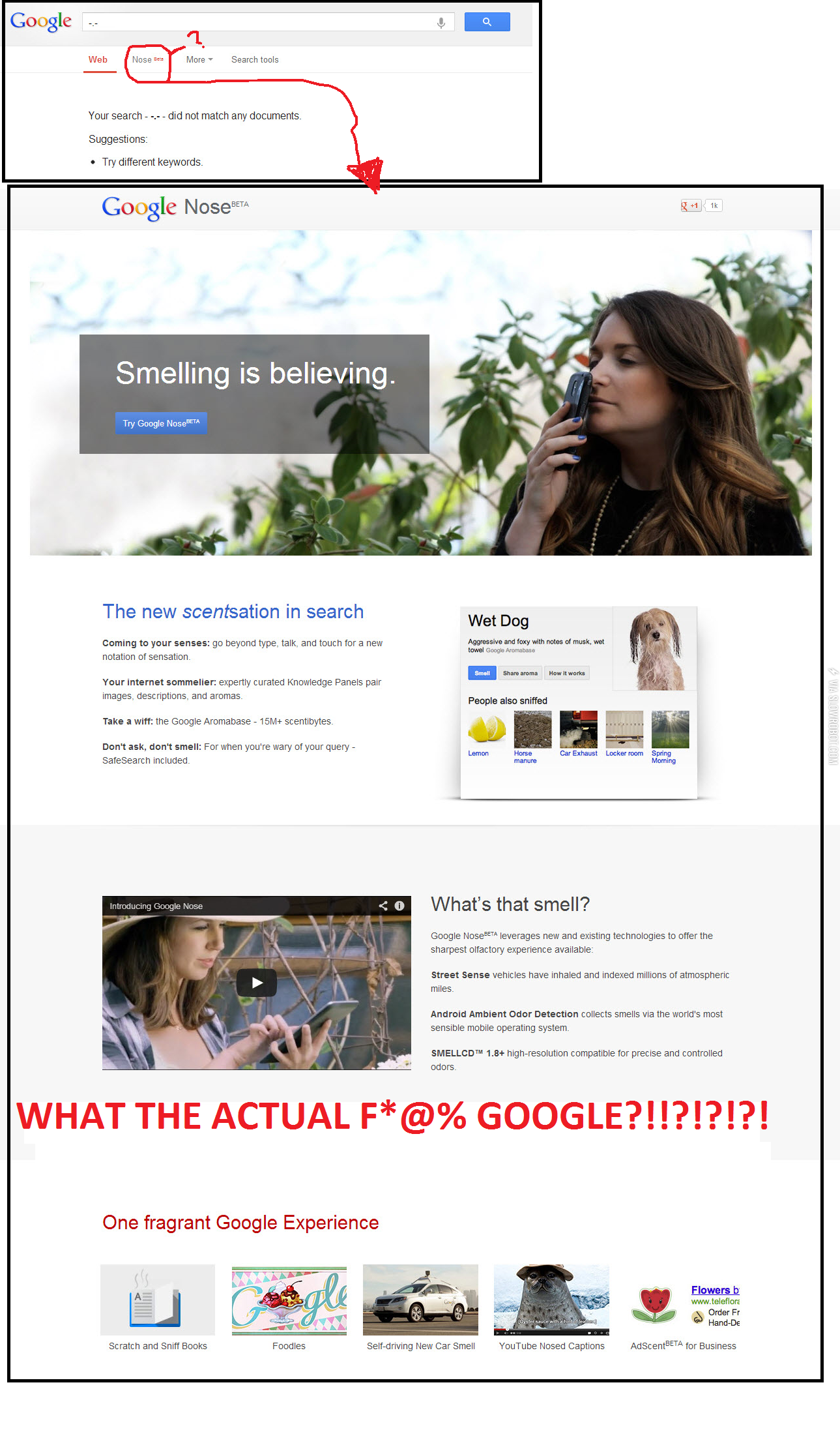 Google+knows%26%238230%3B+Nose%26%238230%3B%3F