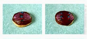 Mitosis+Explained+Through+Donuts